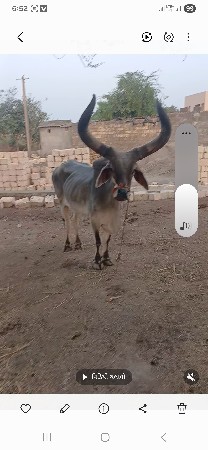 थंबनेल 3