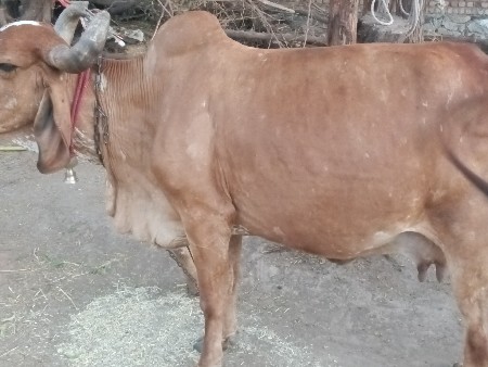 थंबनेल 2