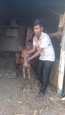 થંબનેલ 3