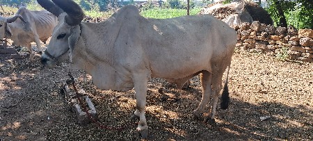 थंबनेल 2