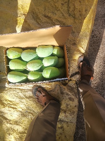 थंबनेल 2