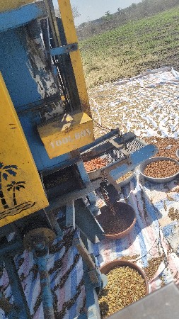 થંબનેલ 3