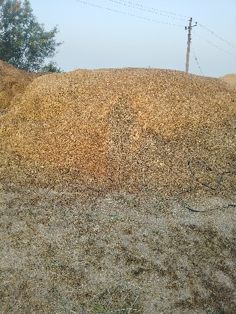 ભુકૉ વૅચવા નૉ છૅ