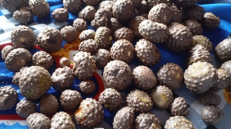 थंबनेल 3