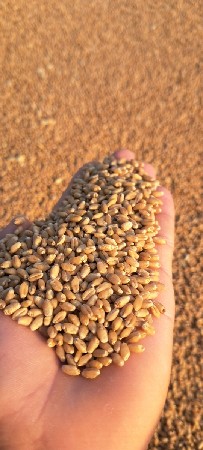 थंबनेल 3