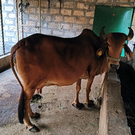 थंबनेल 3