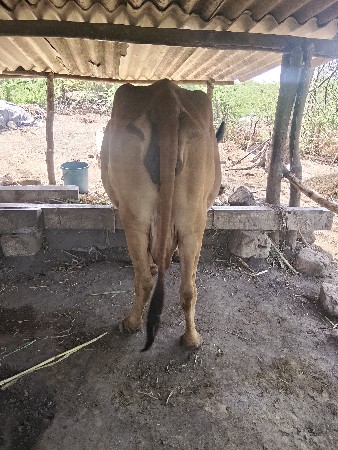 थंबनेल 3