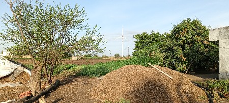 થંબનેલ 3