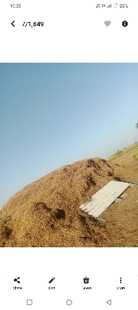 bhuko