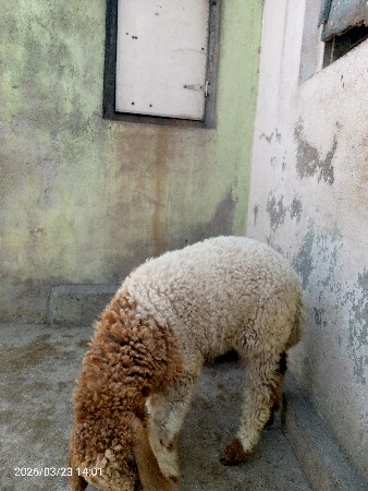 થંબનેલ 2