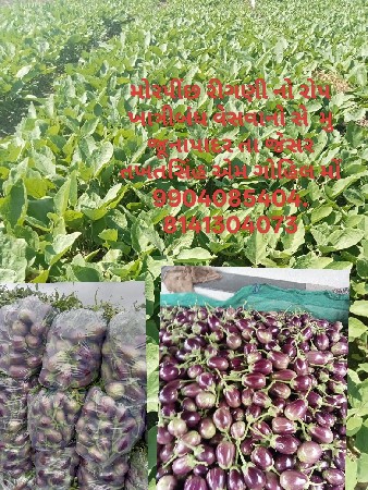 વેસાવા નો સે