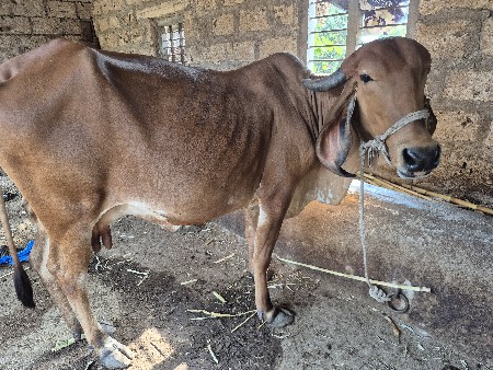 थंबनेल 2