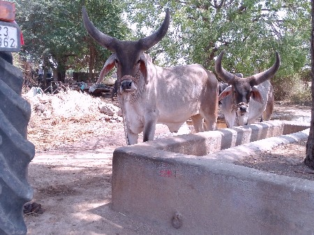 ₹60000 રૂપિયા