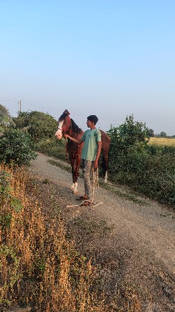 થંબનેલ 3