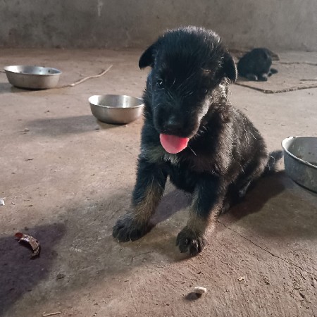 थंबनेल 2