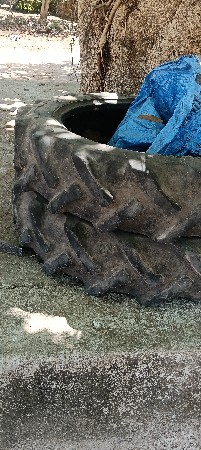 ટાયર મહિન્દ્રા jivo na se