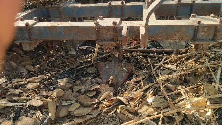 પંચિયા વેચવાના છે