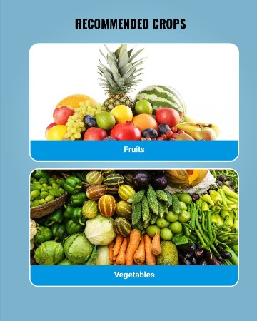 મલ્ટિપ્લેક્સ ઓલબર ખાતર