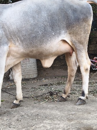 थंबनेल 3