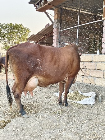 थंबनेल 2