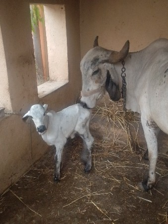 थंबनेल 3