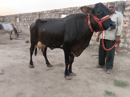 थंबनेल 3