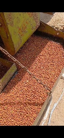 NVT થેસર વેસવાનુછે