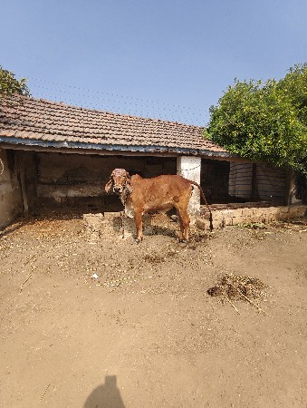 થંબનેલ 3