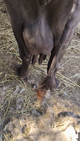 थंबनेल 2