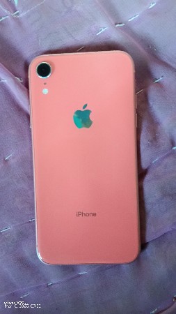 iPhone xr