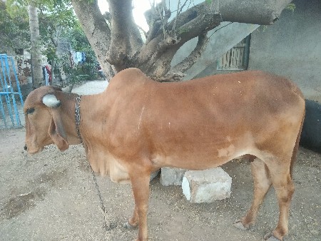 थंबनेल 2