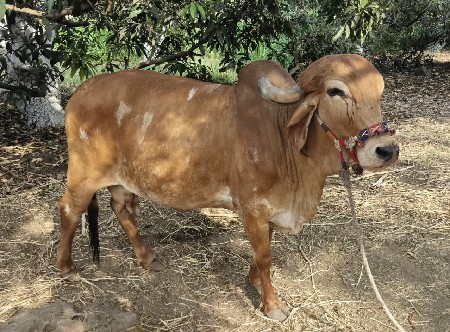 थंबनेल 2