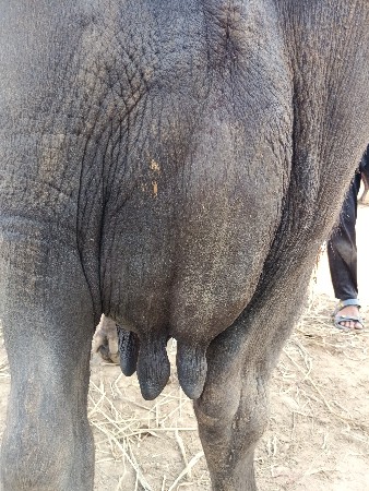 थंबनेल 3