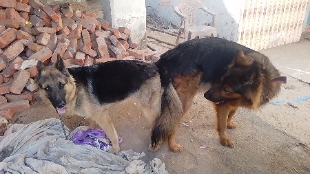 થંબનેલ 3