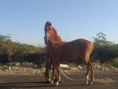 થંબનેલ 2