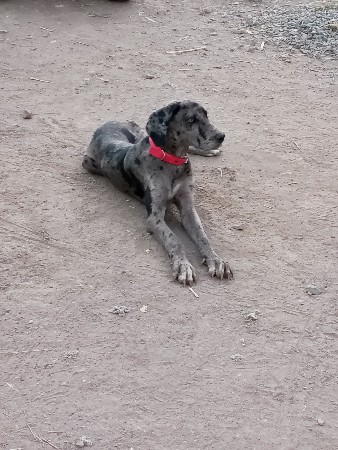 થંબનેલ 3