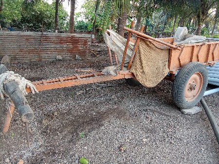 थंबनेल 3