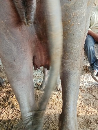 થંબનેલ 2