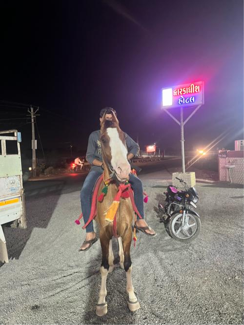 થંબનેલ 2