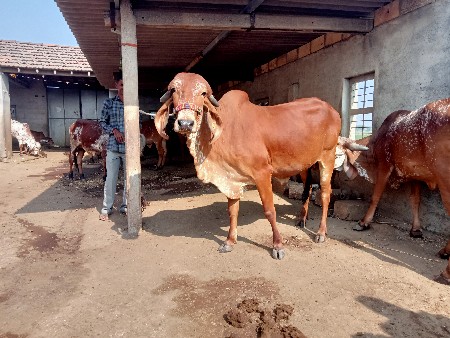 थंबनेल 3