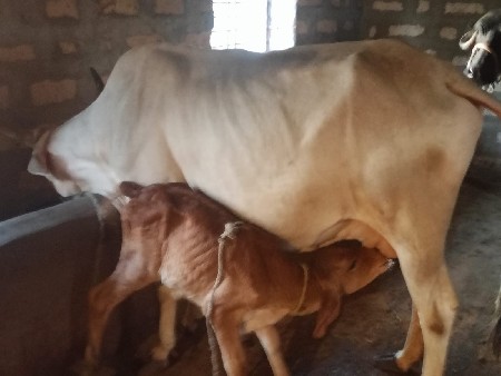 थंबनेल 2