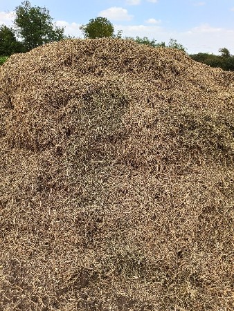 માડવિ.નો.ભુકો.વેશવાનો.છે.સાવકો