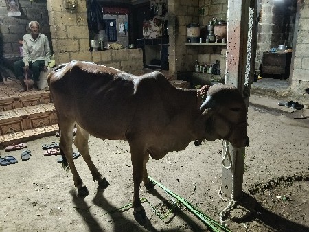 थंबनेल 3