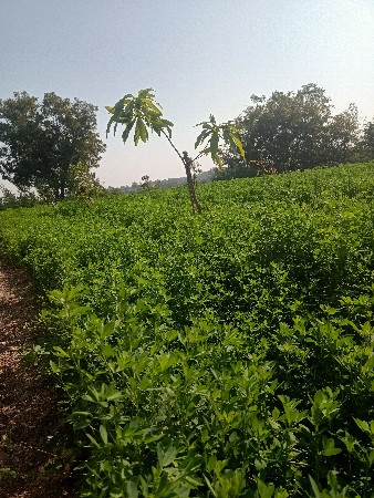 જમીન લેવા માટે કોન્ટેક્ટ કરો