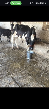 थंबनेल 5