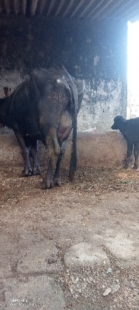 थंबनेल 2