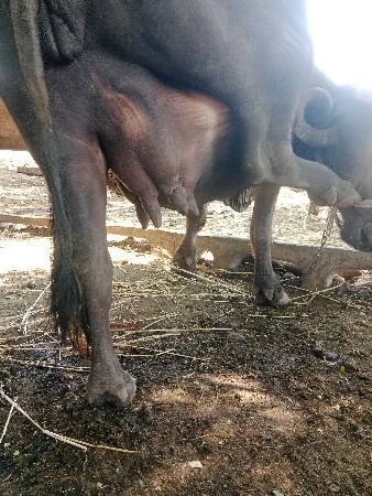 थंबनेल 3