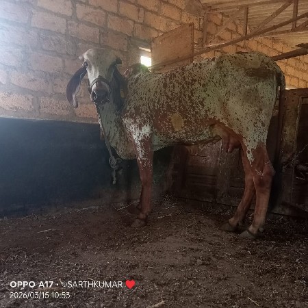 थंबनेल 2