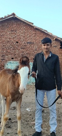 ર મહિનાનો