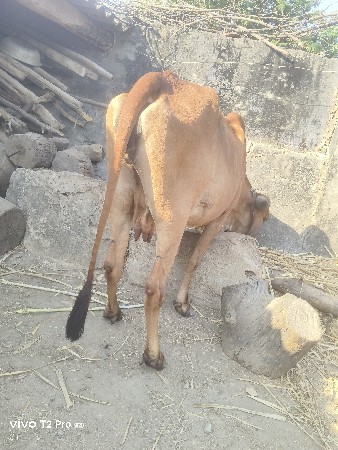 थंबनेल 3